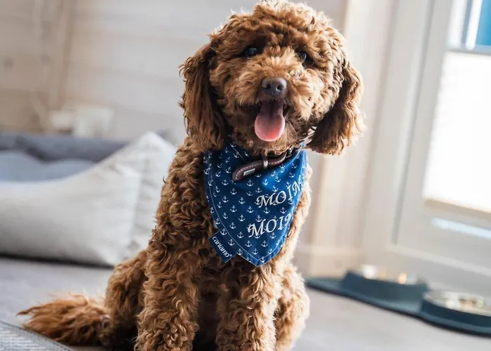 Hausboot Ella- Huus & Πλωτό κατάλυμα